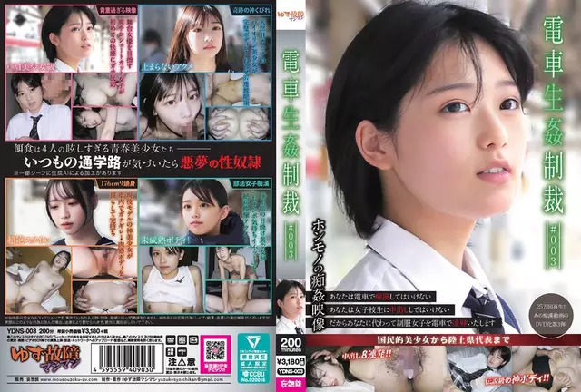 YDNS-003 Train Sex Punishment -003