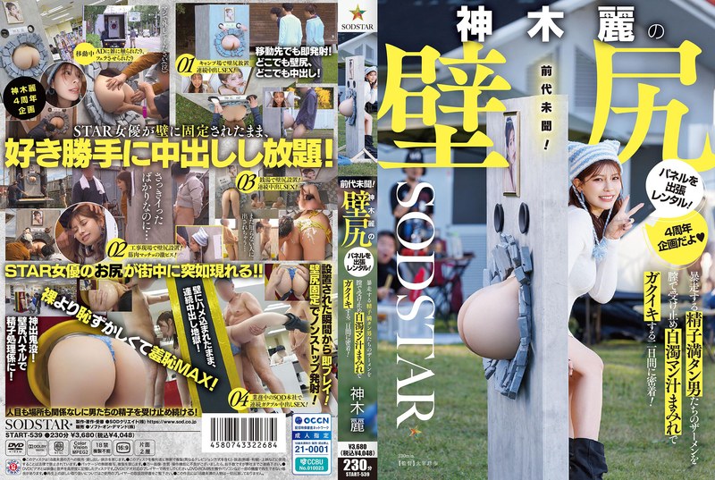 START-539 เช่าแผงติดผนังของ Re…